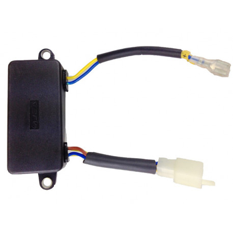 A.V.R. PARA ZSQF II 2500W