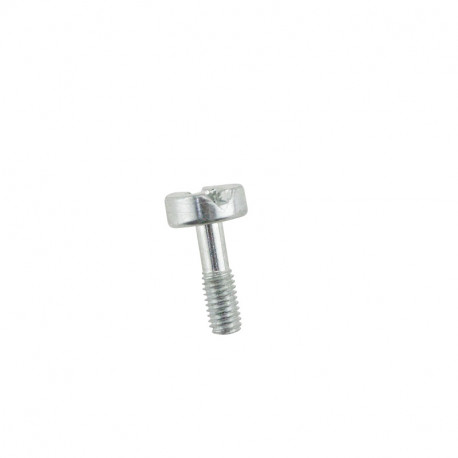 TORNILLO TAPA DE BUJIA TS410