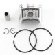 KIT PISTON CON SEGMENTOS ST-MS660 54MM