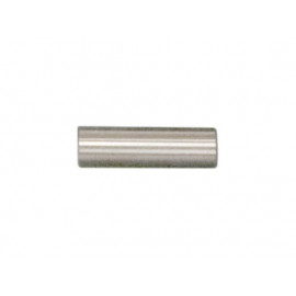 BULON PISTON TCS4600